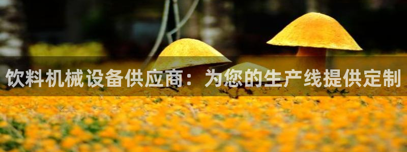 j9九游会真人游戏第一
