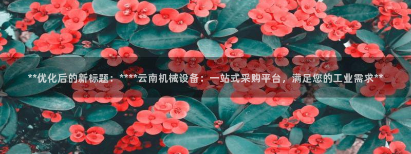 九游会上不去了
