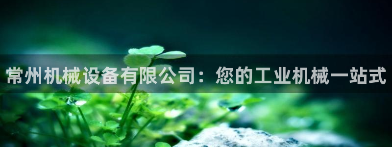 九游会是大平台吗
