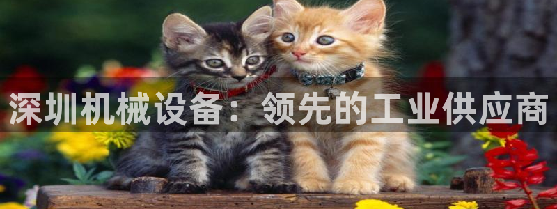j9九游会游戏