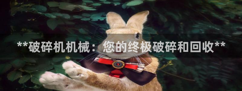 九游会登不上