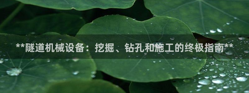 九游j9国际