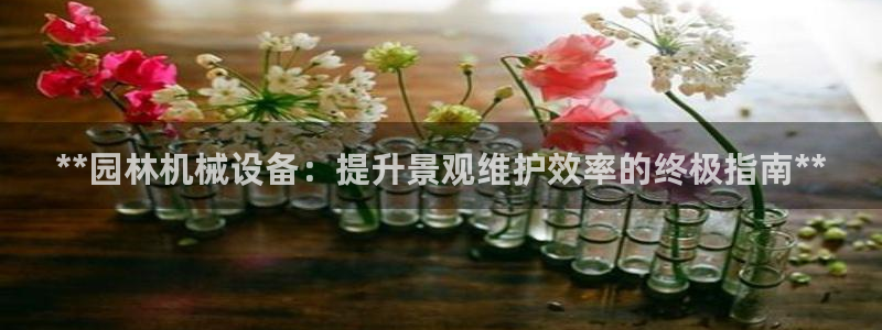 九游会 app下载