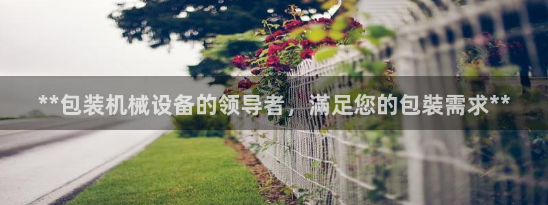 九游会官网ag旧版