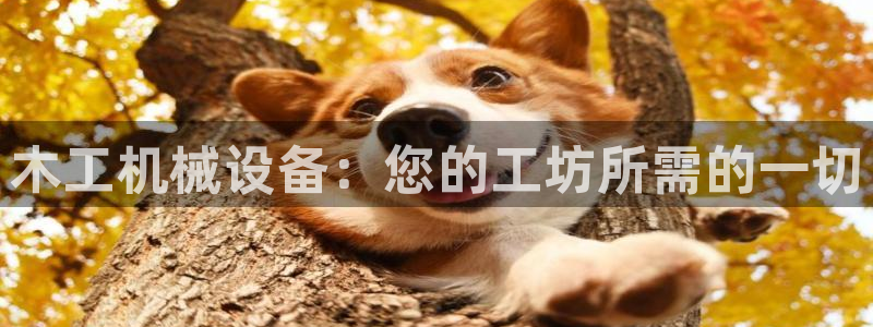 九游会贴吧