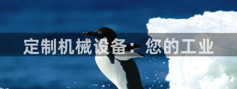 九游会网址是什么