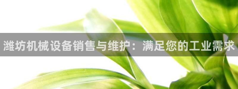 J9九游会是干嘛的