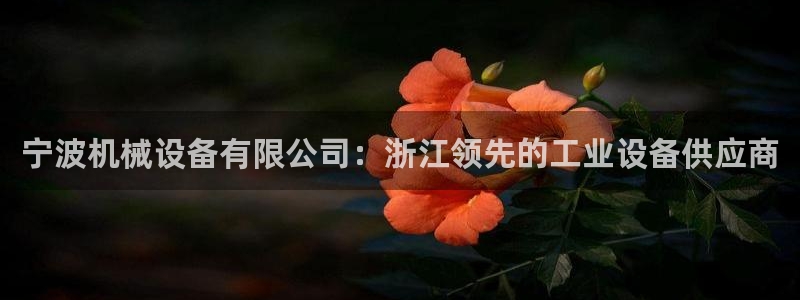 九游会app下载版官网正版手游