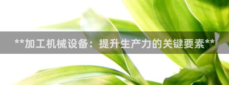 九游会国际厅登录 - j9九游会首页登录新版