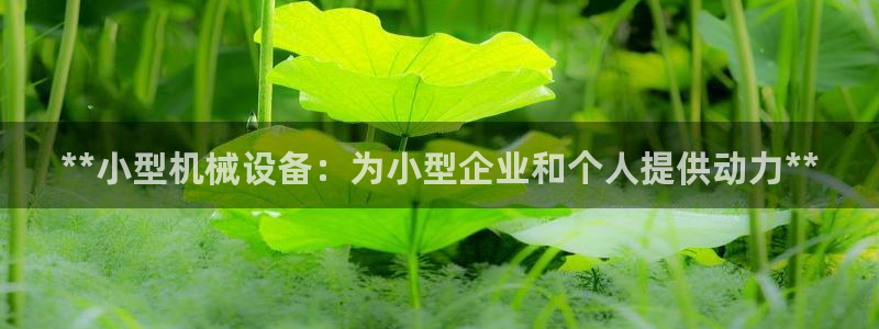 九游会是干嘛的