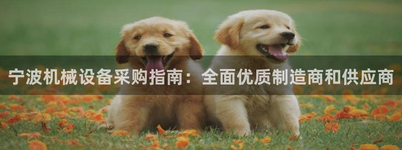 j9九游会最新官网