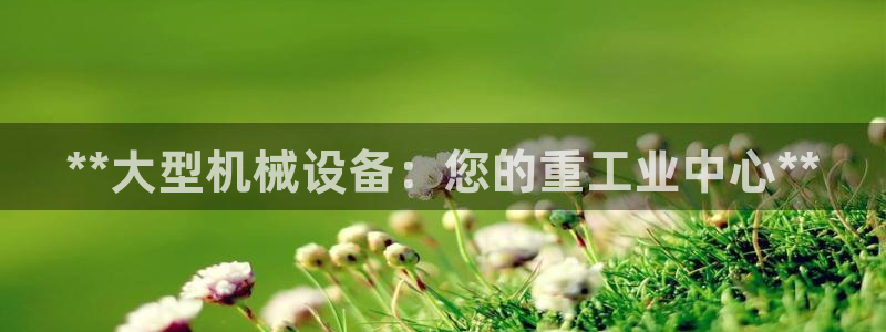 九游会平台王一博泰国