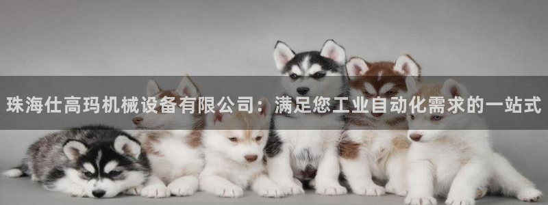 九游会真人第一品牌游戏合营