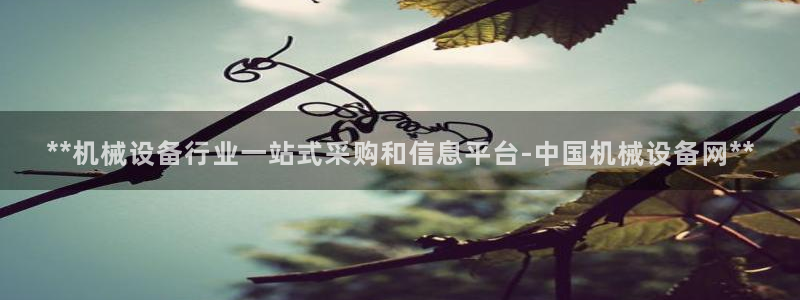 ag九游会登录网站