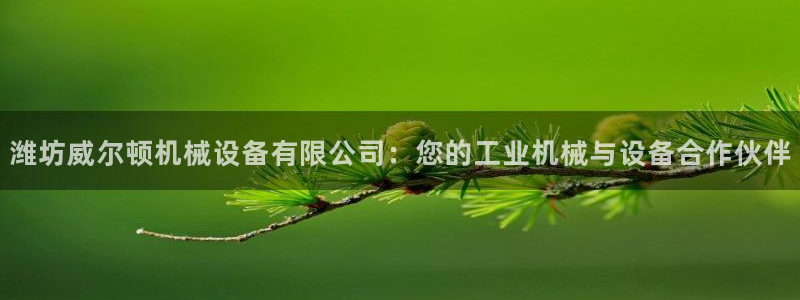 j9九游会官方网站