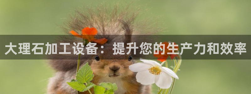 九游会官网网页版