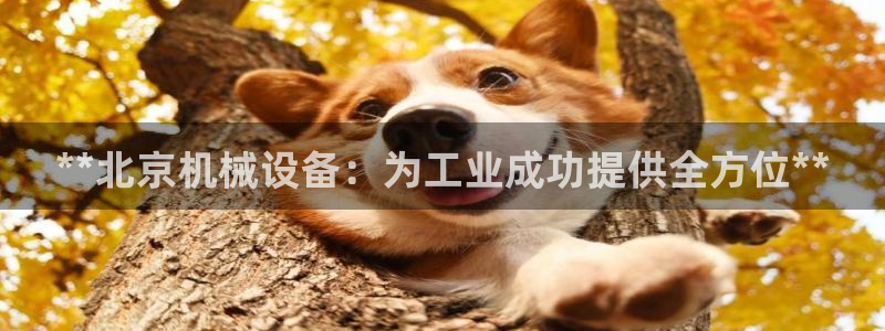 九游会官网首页
