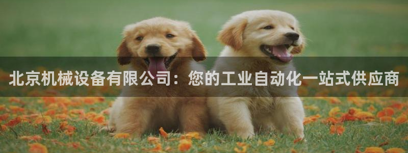 ag九游会app