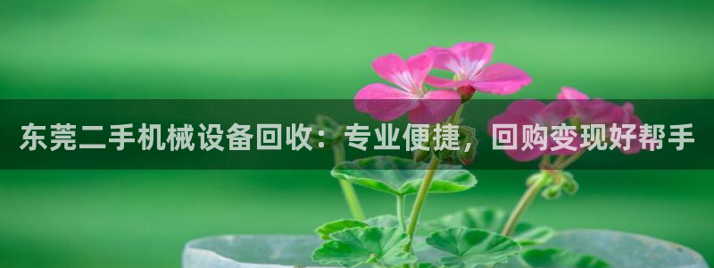 九游j9国际站官方网站