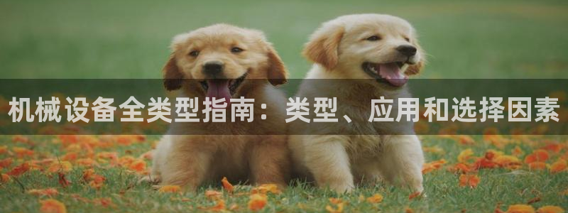 九游会agj9