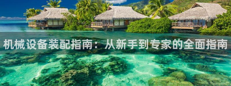 九游会贴吧