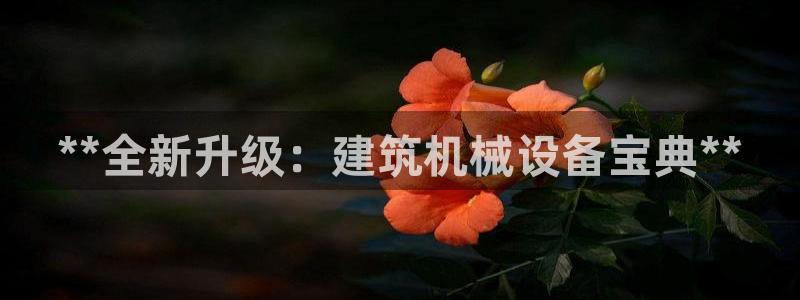 九游会集团新的选择