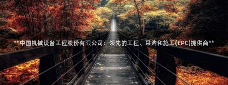 九游会官网进入口