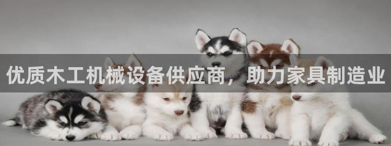 九游会集团货币