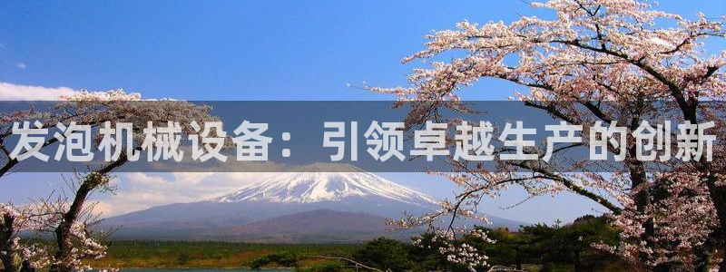 j9九游会ag8手机aPP