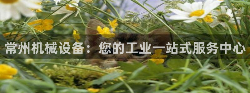 九游会登陆中心