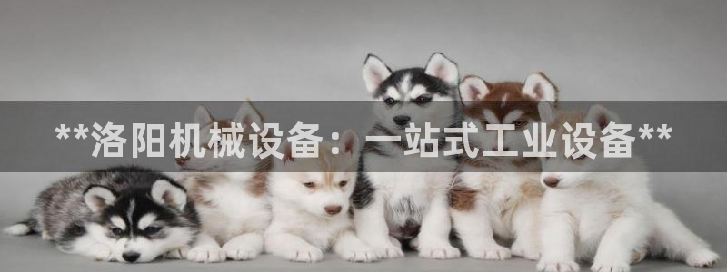 九游会老哥俱乐部论坛版
