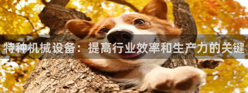 九游会这几天打不开了