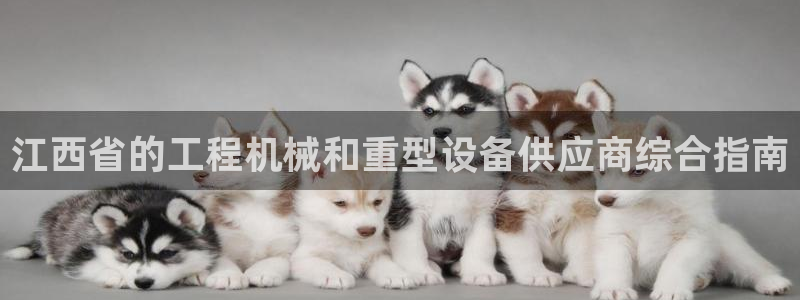 j9九游会真人手机版