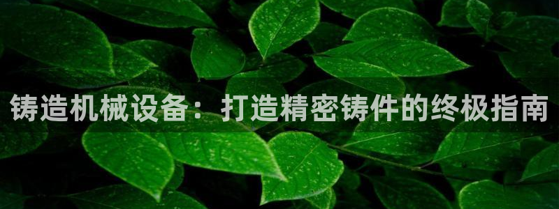 九游会平台怎么样