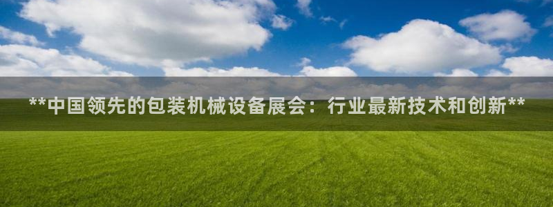 九游会ag老哥