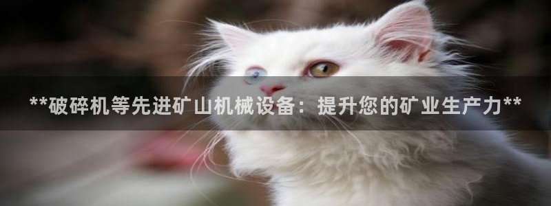 J9九游会俱乐部