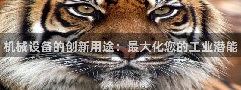 九游会游戏真人