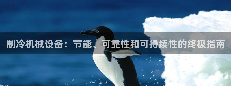 九游会 a g