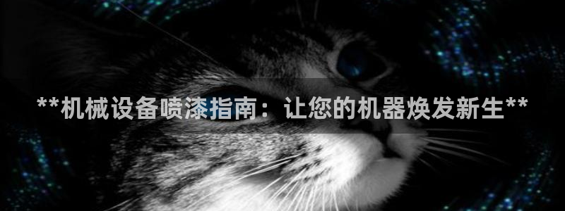 j9九游会官网入口