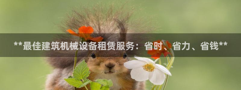 九游会首页官网