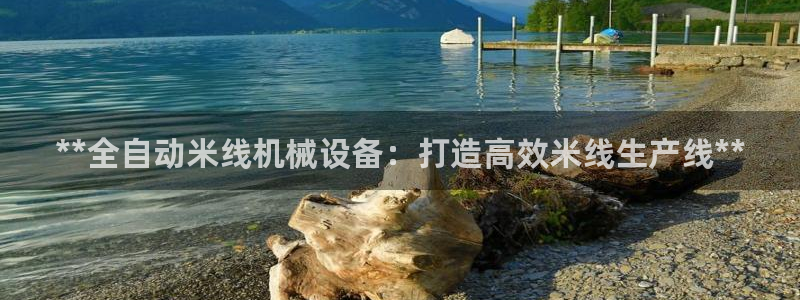 九游会游戏网址