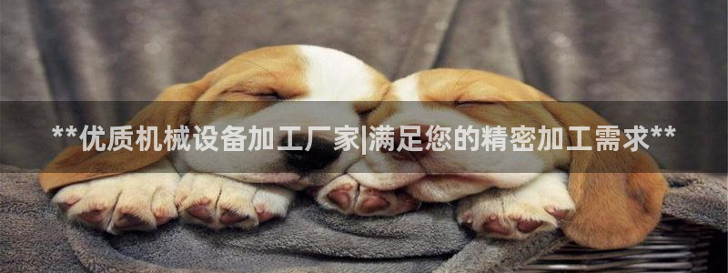 九游会集团新的选择
