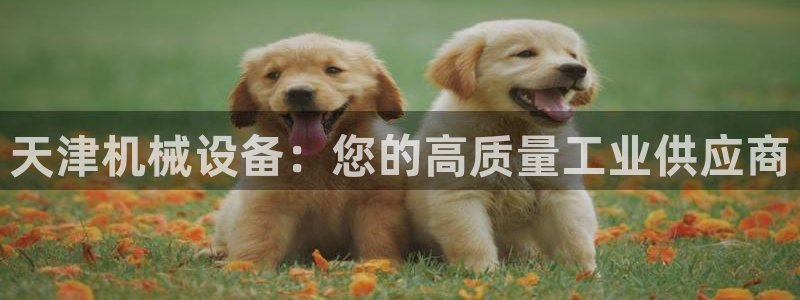 九游会官网首页进入吗