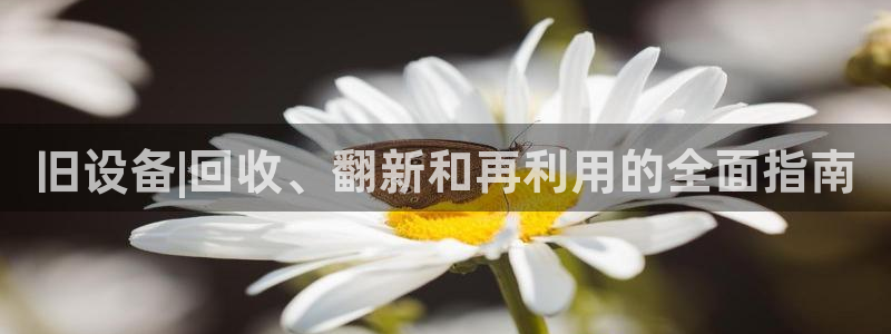 九游会线上平台下架吗