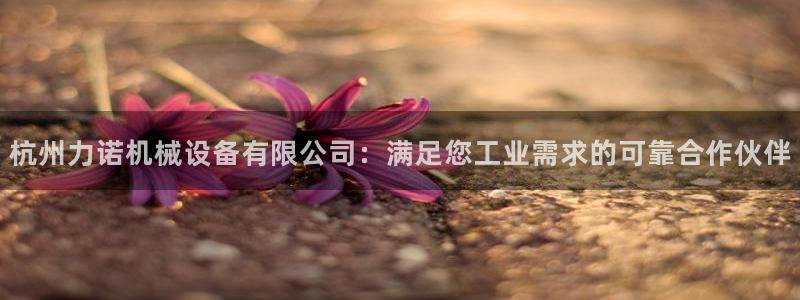 J9九游会J9