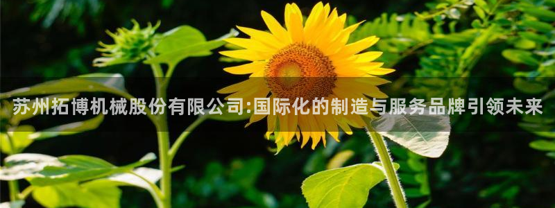 九游会app下载版官网正版手游
