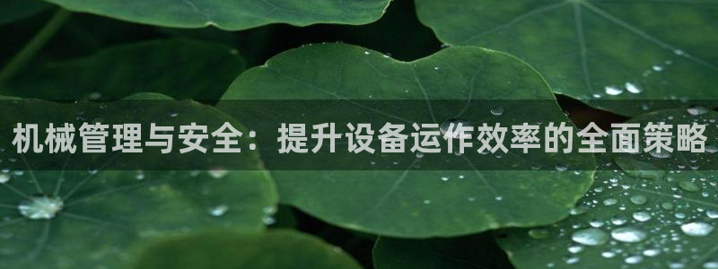 九游会AG下载手机端
