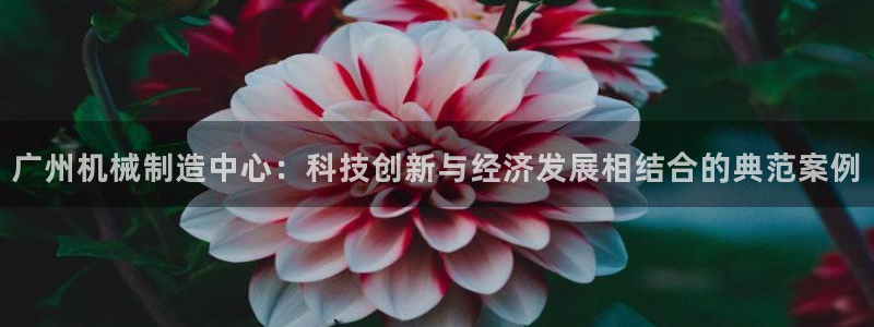 九游j9官网