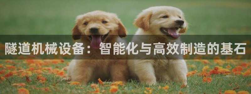 usdt九游会老哥俱乐部