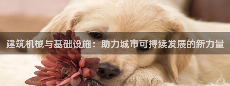 ag8亚洲九游会
